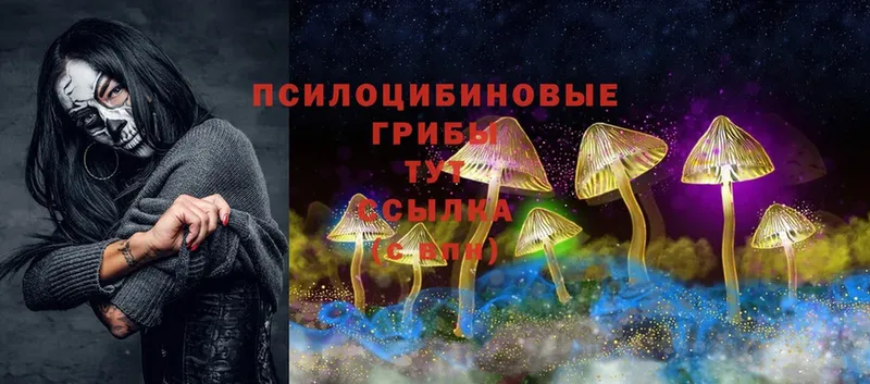 Псилоцибиновые грибы Magic Shrooms  mega зеркало  Череповец 